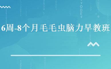 6周-8个月毛毛虫脑力早教班 