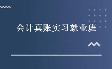 会计真账实习就业班 