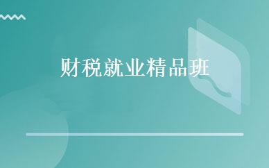 财税就业精品班 