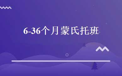 6-36个月蒙氏托班 