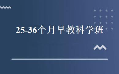 25-36个月早教科学班 