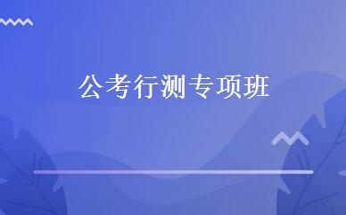 公考行测专项班 