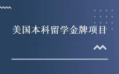美国本科留学金牌项目 