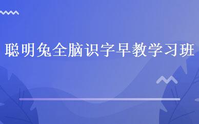 聪明兔全脑识字早教学习班 
