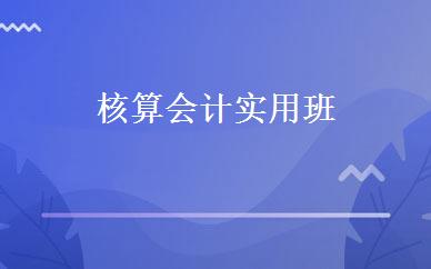 核算会计实用班 