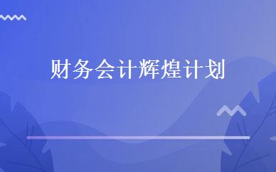 财务会计辉煌计划 