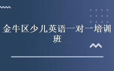 金牛区少儿英语一对一培训班