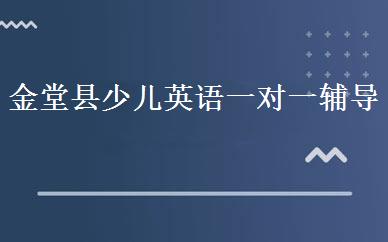 金堂县少儿英语一对一辅导