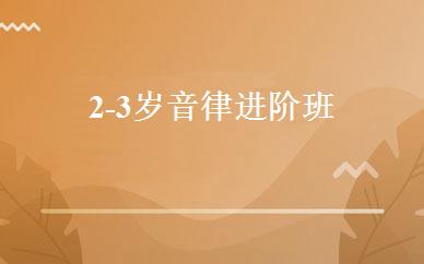 2-3岁音律进阶班 
