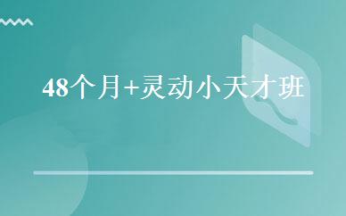 48个月+灵动小天才班 