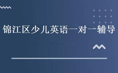 锦江区少儿英语一对一辅导