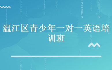 温江区青少年一对一英语培训班