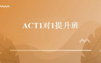 ACT1对1提升班 