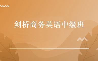 剑桥商务英语中级班 
