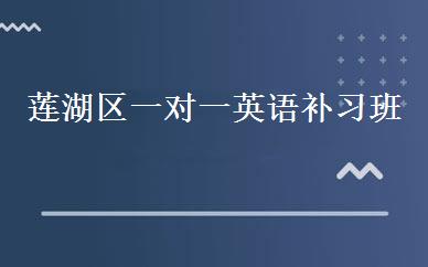 莲湖区一对一英语补习班