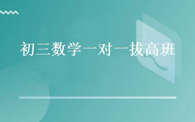 初三数学一对一拔高班 