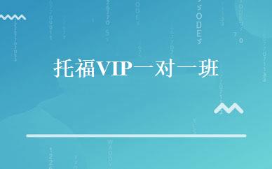 托福VIP一对一班 