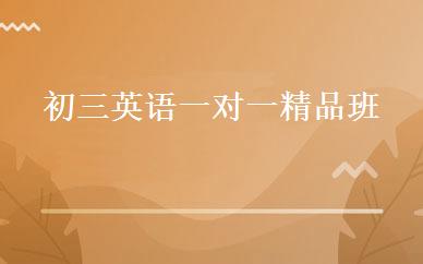 初三英语一对一精品班 