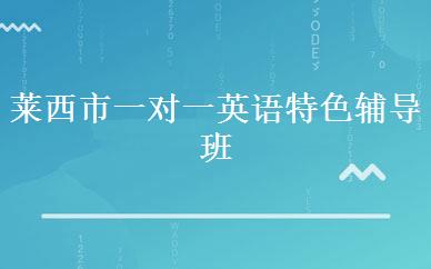 莱西市一对一英语特色辅导班