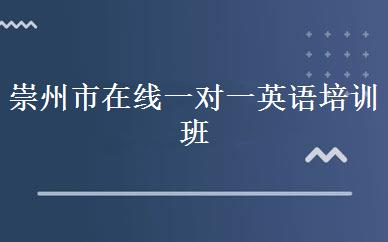 崇州市在线一对一英语培训班