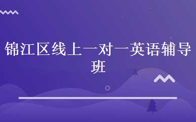 锦江区线上一对一英语辅导班