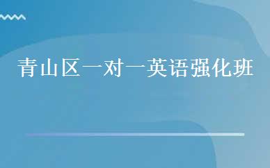 青山区一对一英语强化班