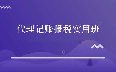 代理记账报税实用班 
