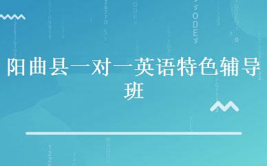 阳曲县一对一英语特色辅导班