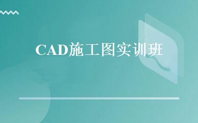 CAD施工图实训班 