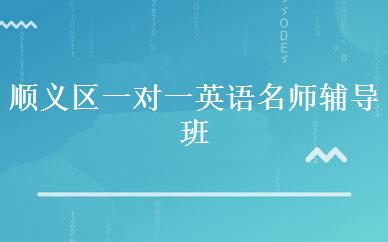 顺义区一对一英语名师辅导班