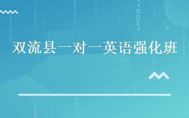 双流县一对一英语强化班
