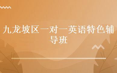 九龙坡区一对一英语特色辅导班