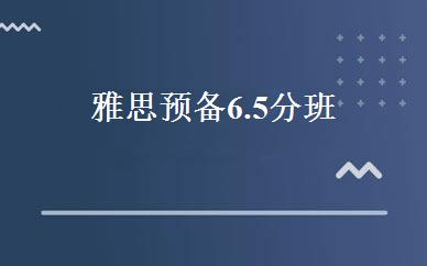 雅思预备6.5分班 