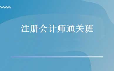 注册会计师通关班 