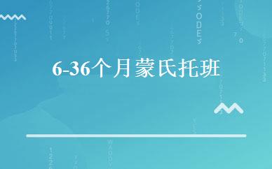 6-36个月蒙氏托班 