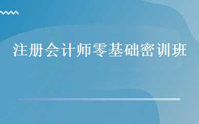 注册会计师零基础密训班 