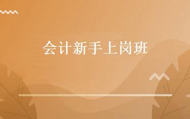 会计新手上岗班 
