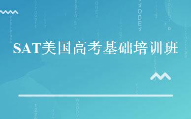 SAT美国高考基础培训班 