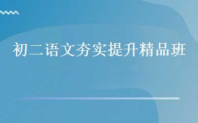 初二语文夯实提升精品班 