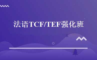 法语TCF/TEF强化班 