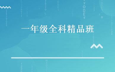 一年级全科精品班 