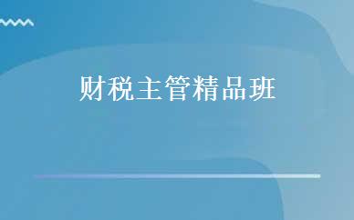 财税主管精品班 