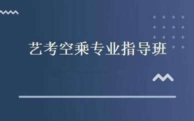 艺考空乘专业指导班 