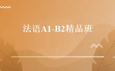 法语A1-B2精品班 