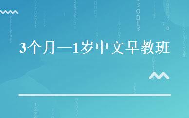 3个月—1岁中文早教班 