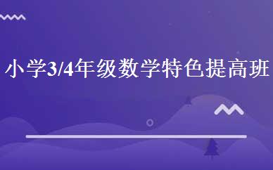 小学3/4年级数学特色提高班 