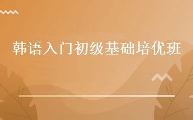 韩语入门初级基础培优班 