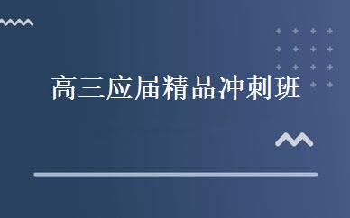 高三应届精品冲刺班 