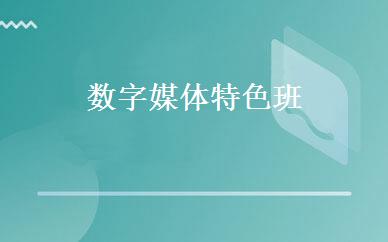数字媒体特色班 