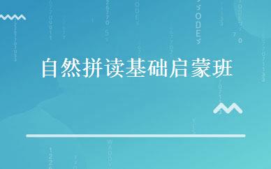 自然拼读基础启蒙班 